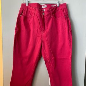 Judy Blue Skinny fit Fuschia jeans size 18w
